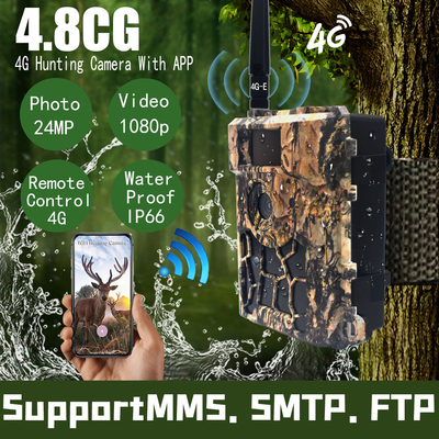 4.8 CG 모바일 여파 카메라 24MP LTE 4G  SIM 카드