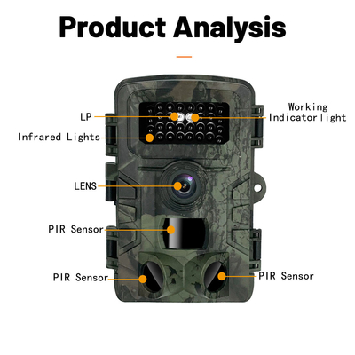 PR700  4K 여파 카메라 36MP IP54 2.0 LCD 스크린 야간 시력 야생생물 카메라