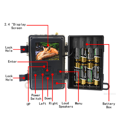 4.8 CG 모바일 여파 카메라 24MP LTE 4G  SIM 카드