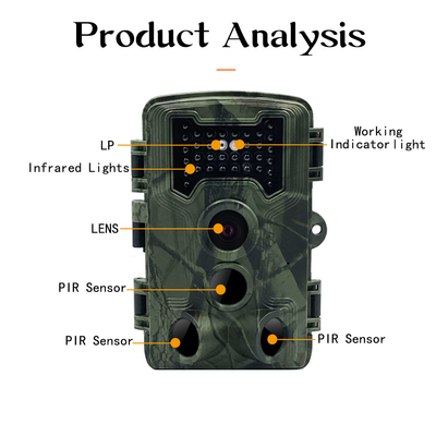 극소 SD HD 여파 카메라 IP54는 16MP 고해상도 여파 카메라를 방수 처리합니다